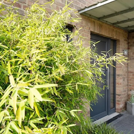 Sonnenstrahl&wellengang Sonnenstrahl *